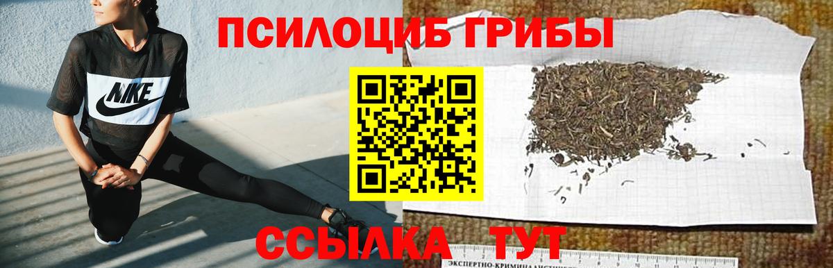 Псилоцибиновые грибы MAGIC MUSHROOMS  Вход с VPN  Коряжма  Галлюциногенные грибы Psilocybe 