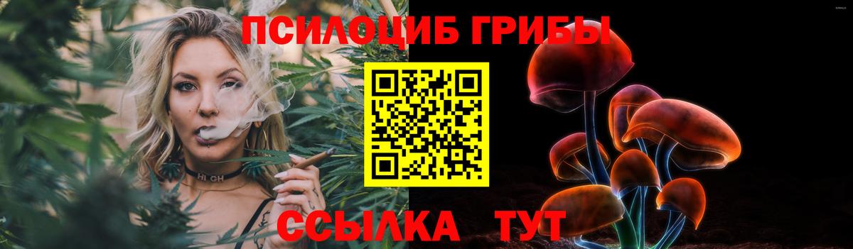 Галлюциногенные грибы прущие грибы Коряжма